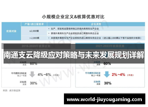 南通支云降级应对策略与未来发展规划详解 南通支云降级应对策略与未来发展规划详解