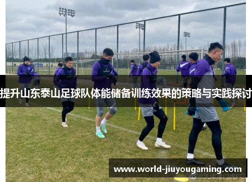 提升山东泰山足球队体能储备训练效果的策略与实践探讨