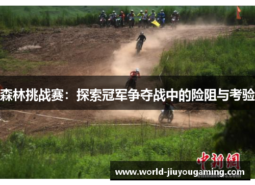 森林挑战赛:探索冠军争夺战中的险阻与考验 森林挑战赛:探索冠军争夺战中的险阻与考验