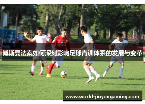 博斯曼法案如何深刻影响足球青训体系的发展与变革
