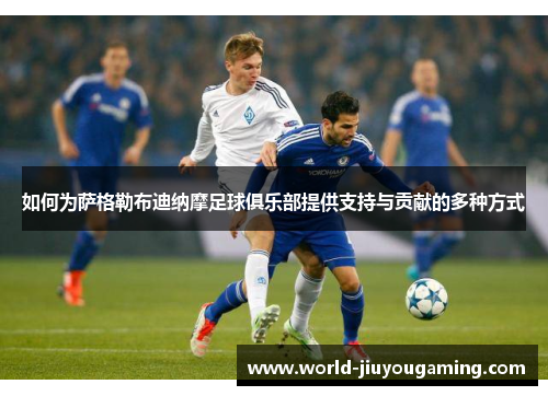 如何为萨格勒布迪纳摩足球俱乐部提供支持与贡献的多种方式