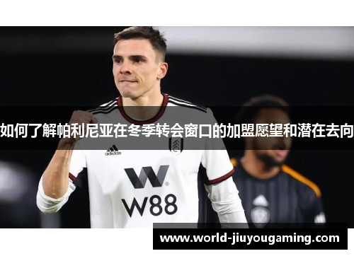 如何了解帕利尼亚在冬季转会窗口的加盟愿望和潜在去向 如何了解帕利尼亚在冬季转会窗口的加盟愿望和潜在去向
