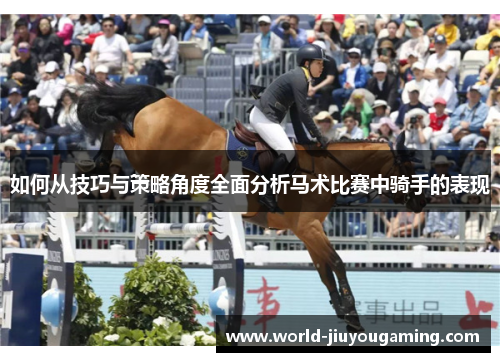 如何从技巧与策略角度全面分析马术比赛中骑手的表现 如何从技巧与策略角度全面分析马术比赛中骑手的表现
