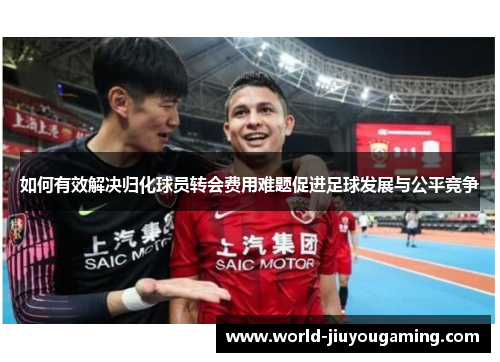 如何有效解决归化球员转会费用难题促进足球发展与公平竞争