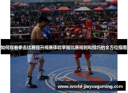如何观看拳击比赛提升观赛体验掌握比赛规则和技巧的全方位指南