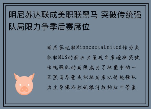 明尼苏达联成美职联黑马 突破传统强队局限力争季后赛席位 明尼苏达联成美职联黑马 突破传统强队局限力争季后赛席位